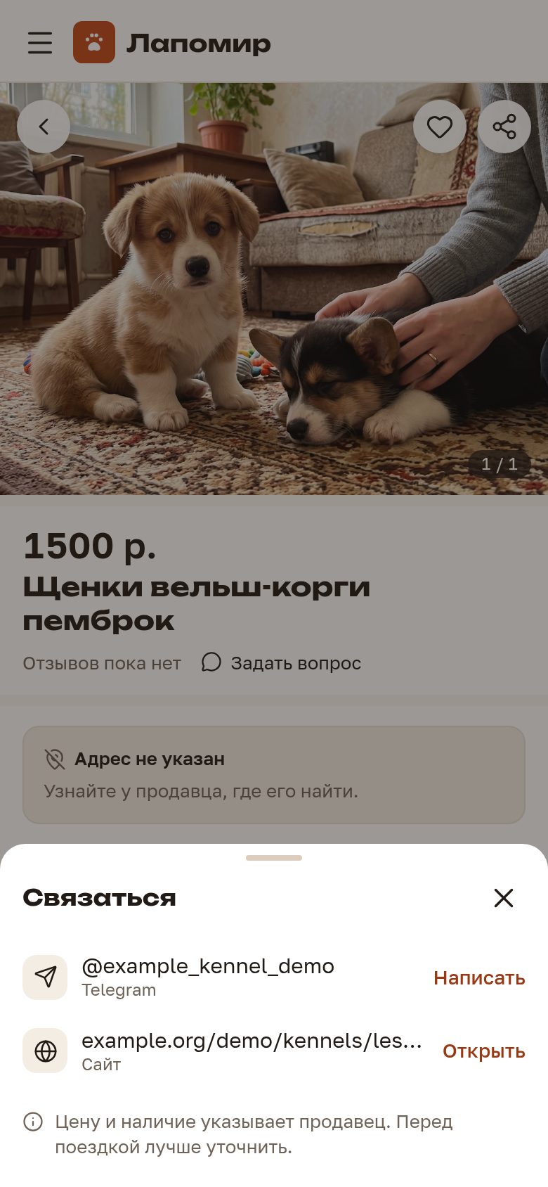 Телефон: шторка «Связаться» со способами связи автора