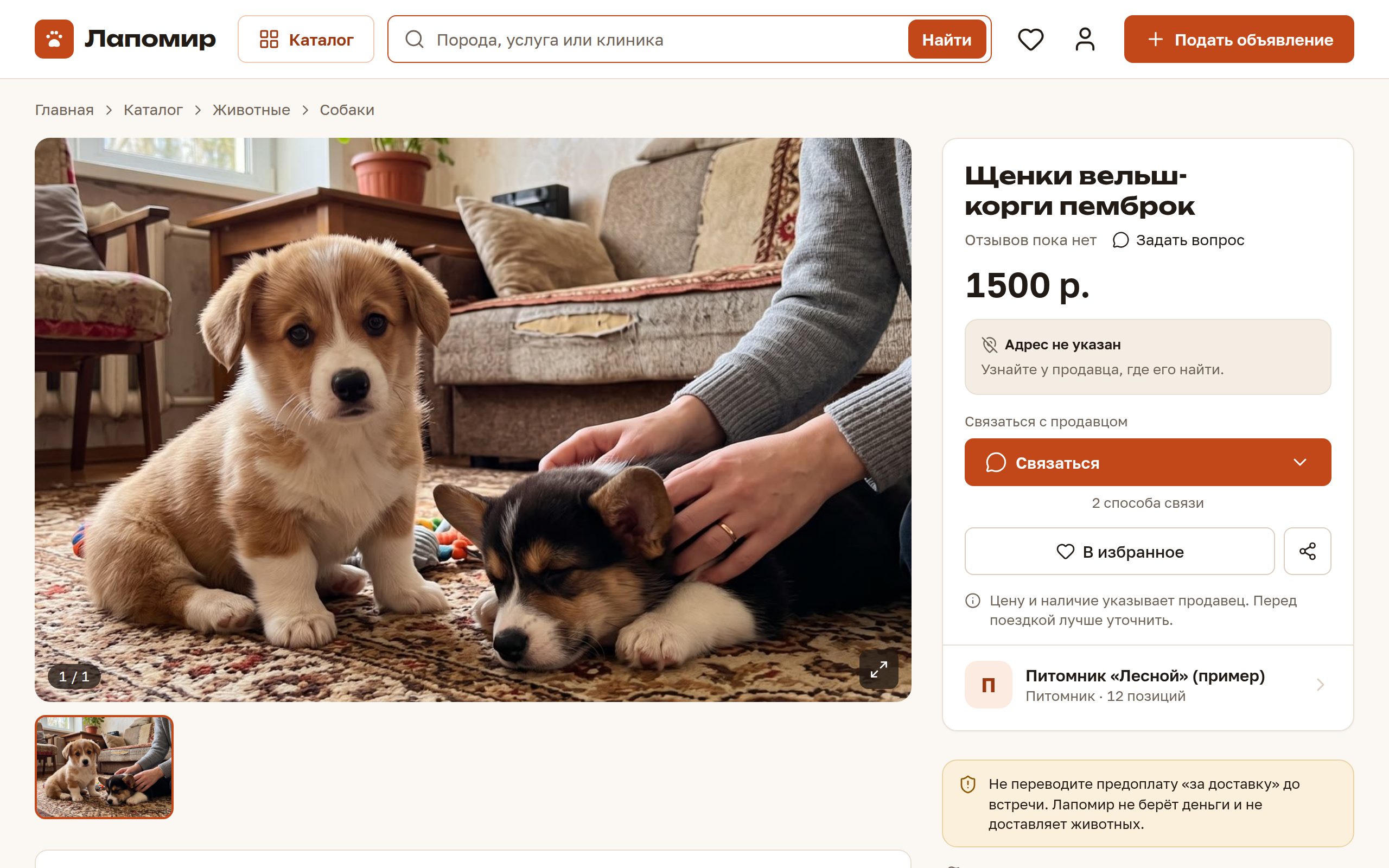 Карточка объявления: цена и плашка «Где найти»